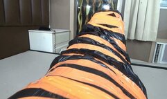 FACE SITTING DOMINATION MARATON NO CUT WITH TWO SEX BY BIA MELO , BABI VENTURA AND DANIEL SANTIAGO CAM BY DANI FULL HD