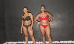 4K Catfight Catfight Perry vs Shantel