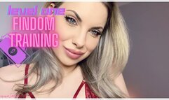 The Findom Challenge: Level ONE (720MP4)