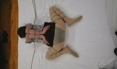 Turtle shell binding