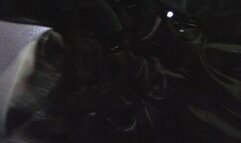 Under Catwoman's Catsuit Ass