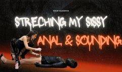 Anal stretching and sounding for my Sissy