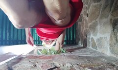 Watch me crush you with my bare feet and high heels (1)