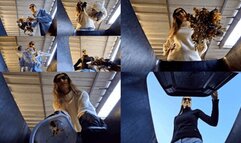 Your last days before garbage collection