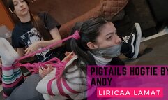 Pigtails hogtie by Andy