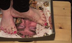 Jane tramples cakes on Roman´s face (facebox)