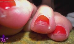 Giantess Viola - Foot and Toes crunching POV