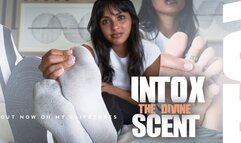 Sniffing session CEI - Mistress Enola - Cum to my to feet and lick it!