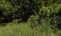 Satisfying myself outdoors (2024) (MP4)