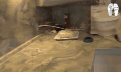 Bake Christmas cookies 2