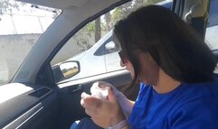 Prolonged sneeze fit in the car by pollen