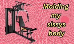 Molding my Sissys body