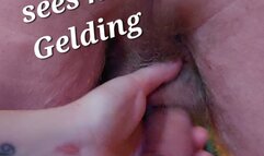 A Mistress sees her Gelding Eunuch