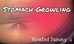 Stomach Growling Rowanie’s Bloated Belly Sounds POV Hairy Tummy Belly Button