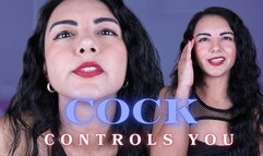 Cock Controls You