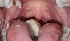 In the mouth like a meat