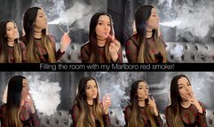 Filling the room with my Marlboro Red smoke! Includes nose exhales, cone exhales, residual exhales, OMI’s, snaps, audible inhales and exhales, visible smoke and more!