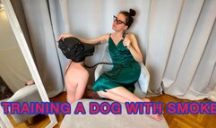 MISTRESS IN GREEN HUMILIATES AND SMOKES RIGHT INTO THE MASK OF A NAKED DOG 4K