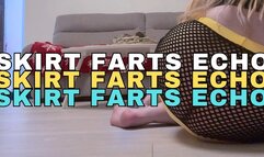 Skirt Farts Echo