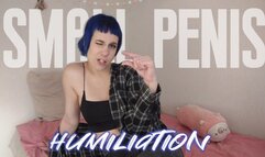 Humiliation of your tiny dick