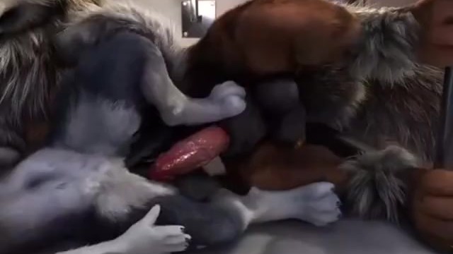 640px x 360px - Wolves Fucking With Coming Porn Video