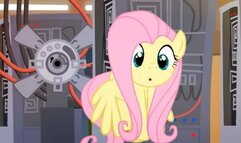 The best Hmv Mlp Fluttershy and Rarity!