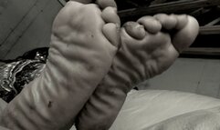 Butterfly's Package #2