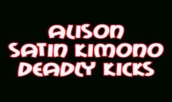 Alison satin kimono lethal kicks