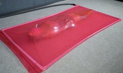 Attack of the caterpillar part 3