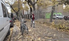 Cassandra's Financial Manipulation - (Ultra HD 4K Version)