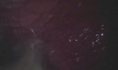 KatieGulps: Fully Digested