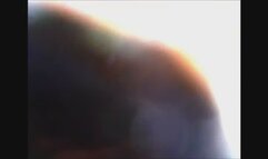 Carolyn Empty Stomach