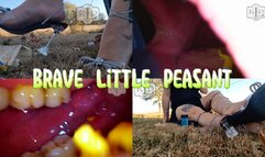 Brave Little Peasant