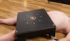 Lady Dark Angel - Slave faces ruination of his balls under Her heels