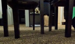 shrinking fetish - Tiny Human Heart Races at it Runs around on Giantess Floor POV 1080, femdom, mind fuck, giantess