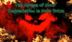 The Aroma of Your Degradation is Your Prize 12 min