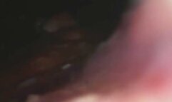 Carolyn Digests Tacos