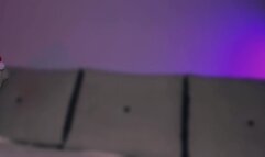 MyFreeCams - Evelinarosse December 6 2024