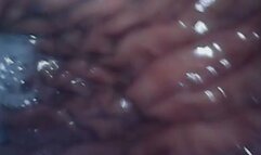 Fresh Stomach Acid!!!