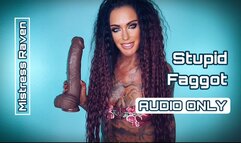 STUPID FAGGOT- AUDIO ONLY