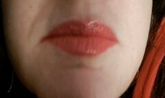 P0RC0NAND0 IL P0RC0 DI0