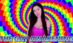 THE GAY AWAKENING