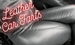 Leather Car Farts