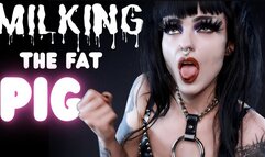 Milking The Fat Pig JOI