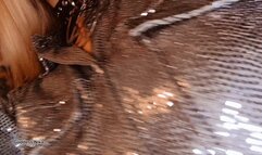 Obey Without Thinking