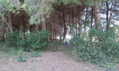 Shoe hunter 41 AVI (1920x1080) FHD