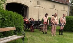 Lady Dark Angel - At OWK Ladies use their whips in bid to win a race