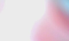 Digest with Carolyns Dinner