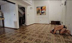 The new nasty bamboo dressage whip