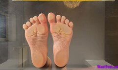 Wrinkled Soles on Glass - Giantess - 4K MP4